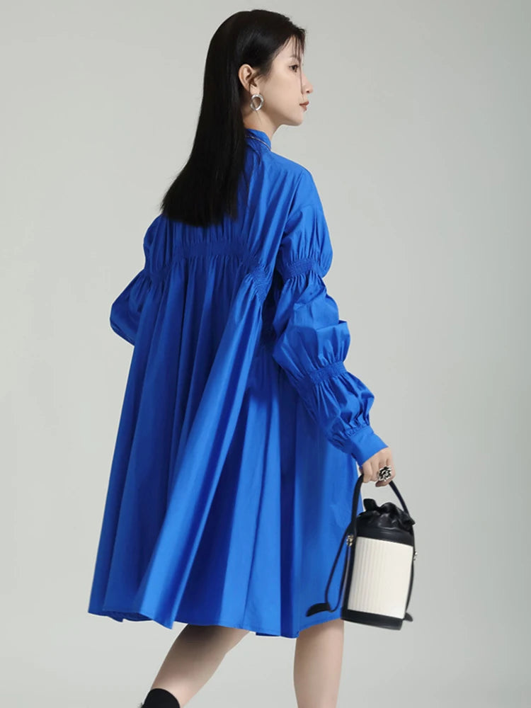Robe Chemise Cintrée à Manches Longues
